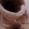 Renifle mes chaussons sale clébard